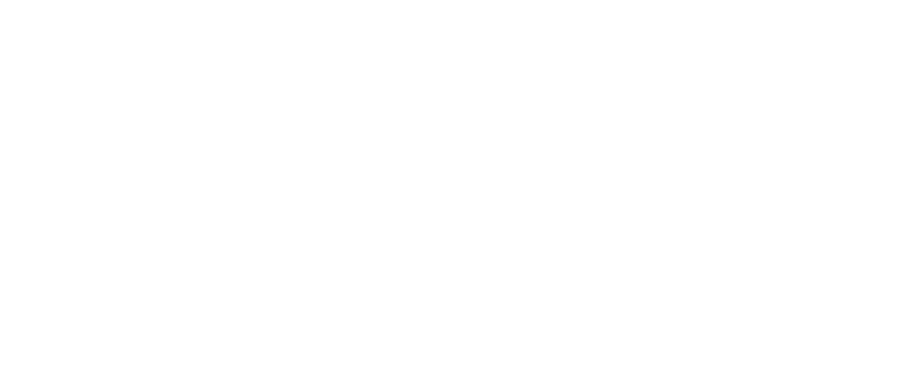 Logo de l'entreprise Foreflight