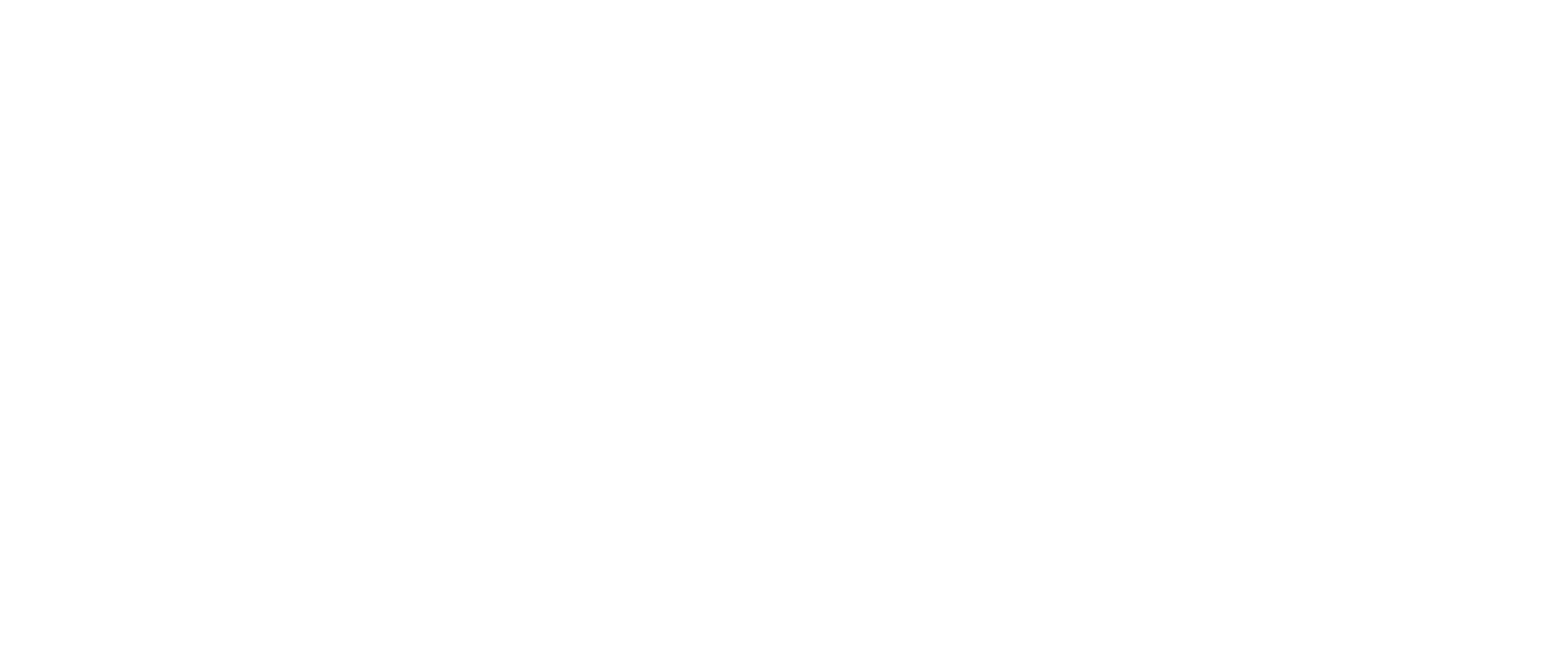 Logo de l'entreprise Garmin